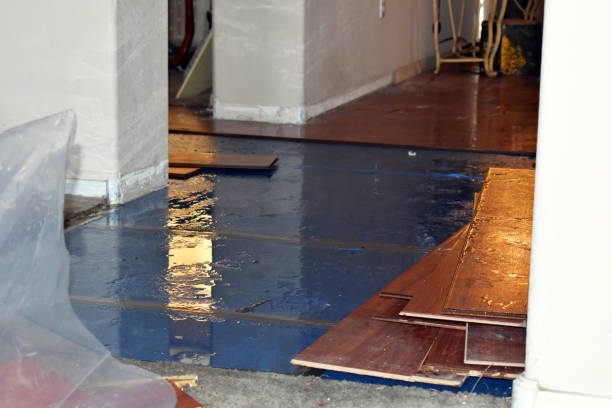Professional Flood Cleanup technician working in Leonard, MI